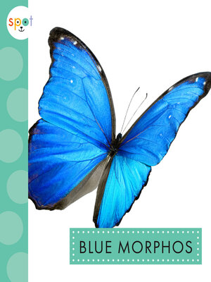 cover image of Blue Morphos